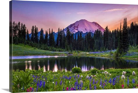 Wildflowers By Tipsoo Lake Wall Art Canvas Prints Framed Prints Wall