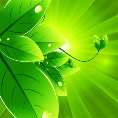 Bộ Sưu Tập 600 Mẫu Vector Background Green Leaf Chất Lượng Cao đa Dạng