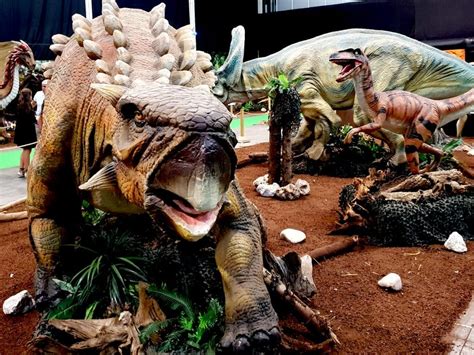 Actualizar Imagem Exposi O Dinossauros Alfandega Porto Br