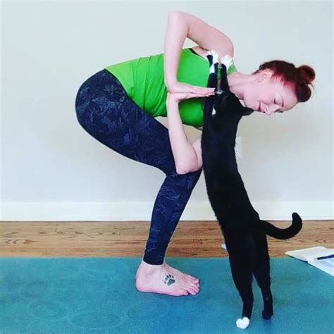 Pin On Yoga Cats