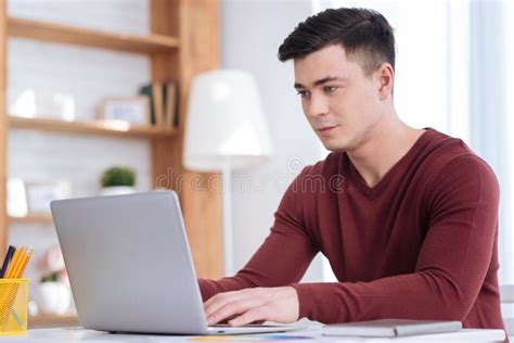 Concentrated Male Freelancer Checking Proposition Stock Image Image