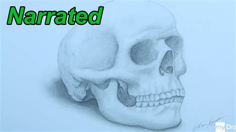 How To Draw A Skull Drawing Human Anatomy Narrated Youtube