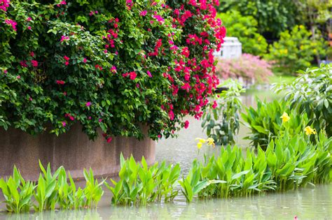 How Can I Stop My Garden Flooding 10 Ways Your Garden Can Help Reduce Flash Flooding Saga