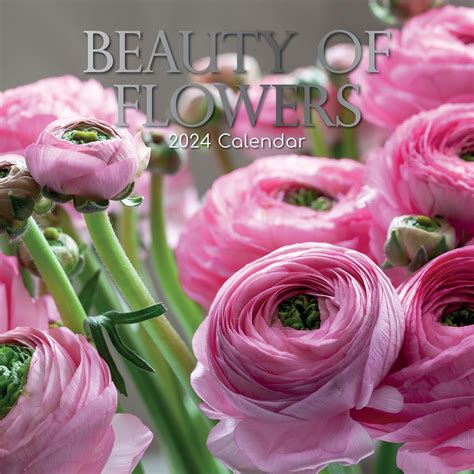 Tgsc Beauty Of Flowers Wall Calendar 2024 16 Months Monthly 2023