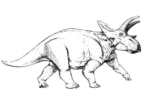 We did not find results for: Dino Dan Images To Print - Only personal attacks are removed, otherwise if it's just content you ...