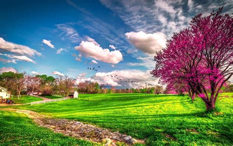 Landscape Beautiful Spring Nature Hd Wallpaper Wallpaper Download