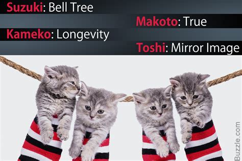 Of course, every single kitty is cute! Kawaii Neko: 100 Cute Japanese Cat Names With Their ...