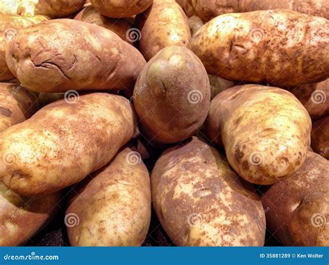 Large Russet Potatoes Stock Image Image Of Agriculture 35881289