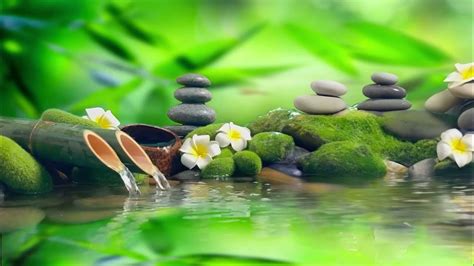 Relaxing Piano Music And Water Sounds 247 Ideal For Stress Relief And
