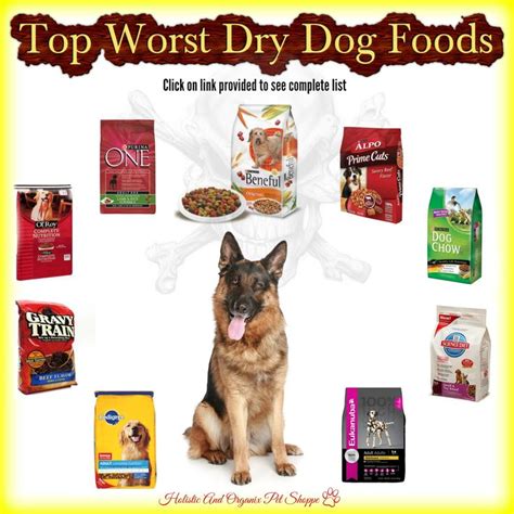 How to decide on the best dog food brands for your pup. Top Worst Dry Dog Foods http://www ...