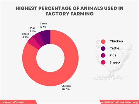 Animal Cruelty In Factory Farm Statistics Dreadful Numbers