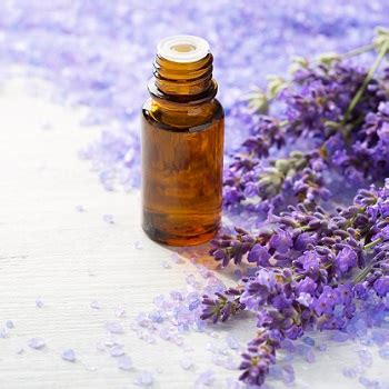 Usage explanations of natural written and. Lavender - the essential oil for every home