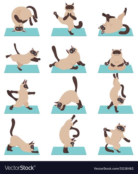 Cats Yoga Siamese Cats Different Yoga Poses And Vector Image