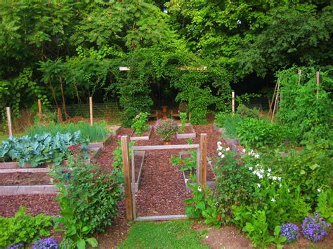 #veggie garden update #mine #veggie garden #veggies #growing vegetables indoors #vegetable our veggie garden has been planted! Your July Veggie Garden Updates - Kevin Lee Jacobs