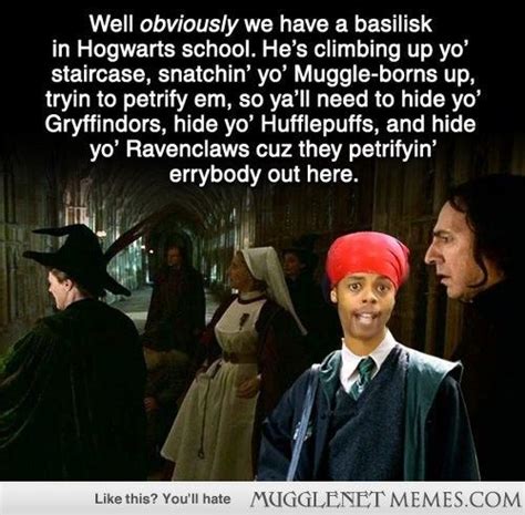 13 Hilarious Yet Questionable Harry Potter Memes Geek