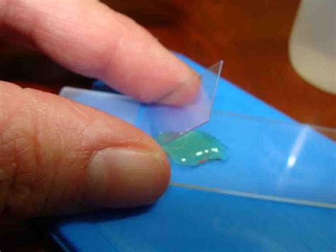Maybe you would like to learn more about one of these? How to Prepare a Wet Mount Slide of Eukaryotic Cells