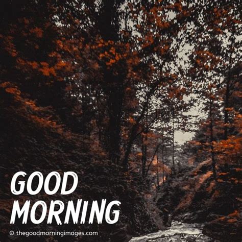 Beautiful Good Morning Fall Images Pictures And Photos 2021 Good