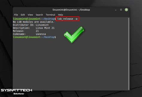 How To Install Linux Mint 21 Sysnettech Solutions