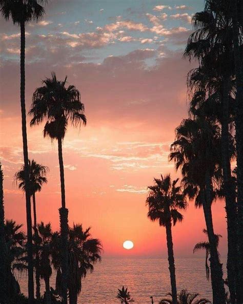 San Diego California Palm Trees Ocean Sunset Sunrise Sunset Pink