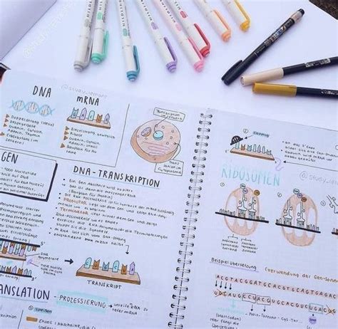 Must Have Stationery Supplies For Note Taking Study Stuff