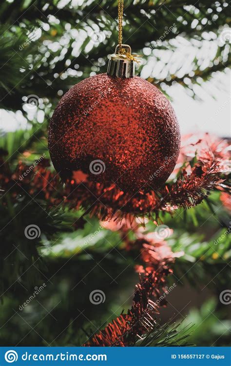 Red Holiday Bauble Hanging On Decorated Tree Stock Image Image Of