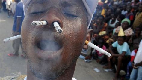 Cinq Choses à Savoir Sur Le Tabac En Afrique Bbc News Afrique