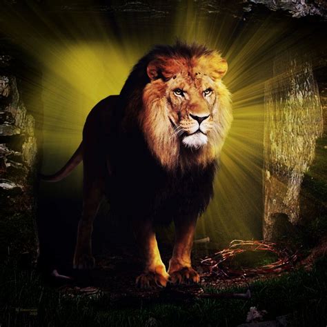 The Lion Of Judah By Robhas1left On Deviantart Lion Wallpaper Dark