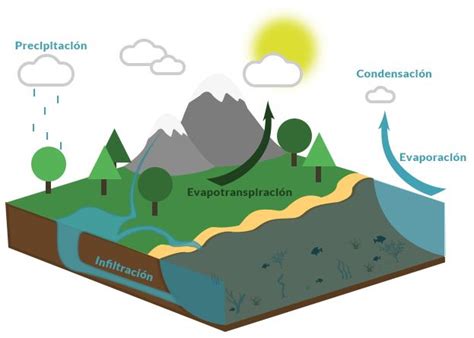 El Ciclo Del Agua También Conocido Como Ciclo Hidrológico Tiene Cinco