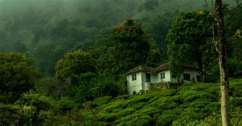 Wayanad In Summer Enjoy The Place To The Fullest With These Tips