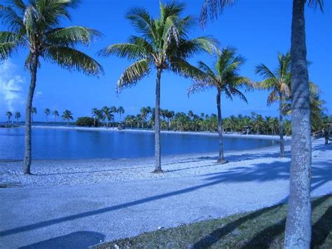 Atoll Beach Picture Of Matheson Hammock Park Miami Tripadvisor