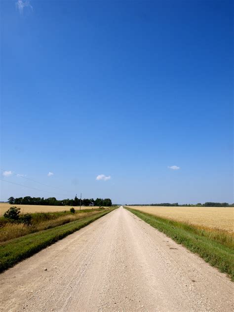 Country Road Through Minnesota Wheat Field Dave Shaver Flickr