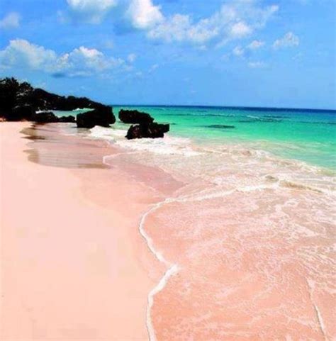 Pinkest Beach In Bermuda Pink Sand Beach Bermuda Places To Go Vacation Spots Places To Visit