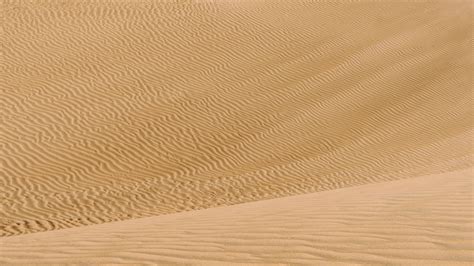 Download Wallpaper 2560x1440 Desert Dunes Sand Wavy Widescreen 169