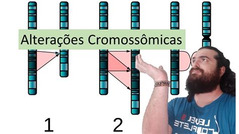 Sabemos Que As Aberrações Cromossômicas Podem Ser Numéricas Ou Estruturais