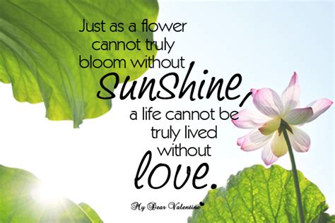 Maybe you would like to learn more about one of these? Just as a flower - Sweet Love Picture Quotes