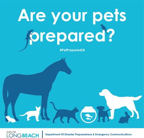 Long Beach Celebrates Pet Preparedness Month In June