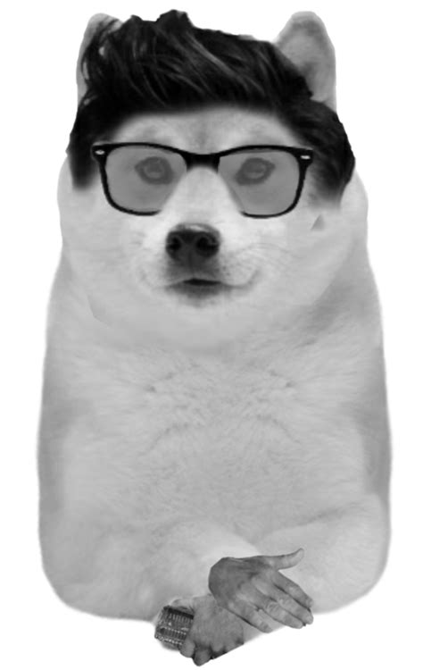 Front Facing Stuff Dogeplease Be Transparent This Time Rdogelore