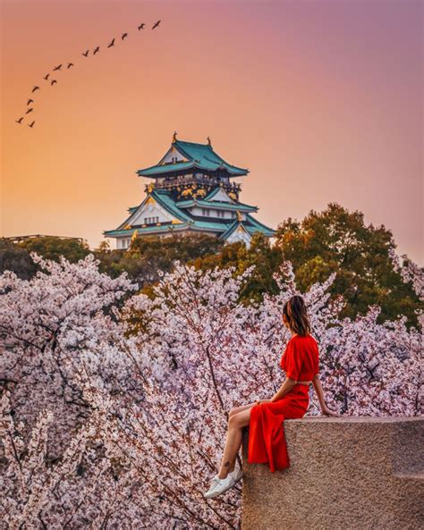 Discover The Most Beautiful Cherry Blossom Spots In Japan