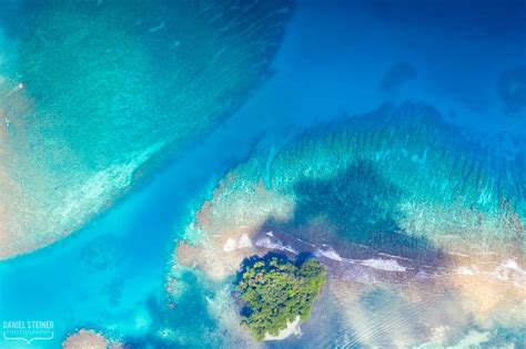 Monkey Island Jamaica Daniel Steiner Flickr