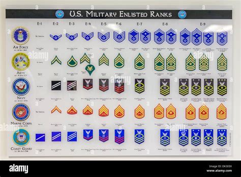 Army Ranks Chart Gallery Of Chart 2019