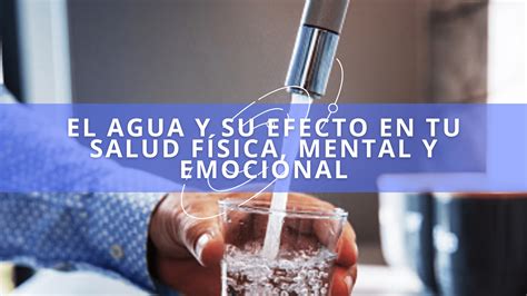 Renato Pazmiño El Agua Y Su Efecto En Tu Salud Física Mental Y Emocional