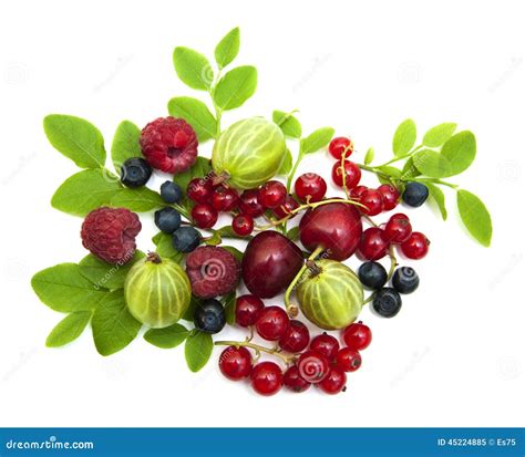 Assorted Fresh Berries Stock Image Image Of Ingredient 45224885