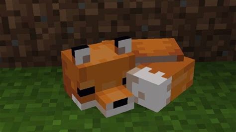 How To Tame A Fox In Minecraft Make A New Fox Friend