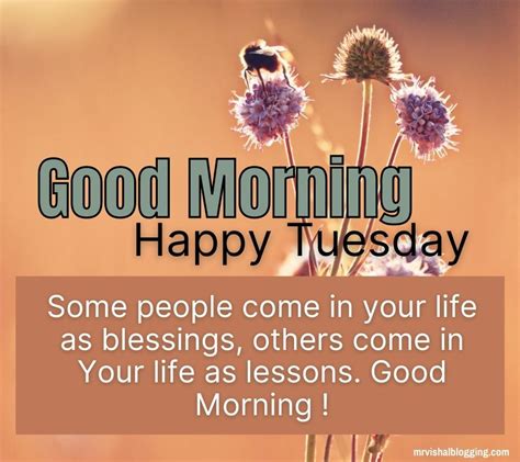 Happy Tuesday Good Morning Images With Quotes Hd Download