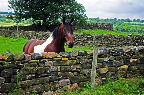 North Yorkshire England Free Photo On Pixabay