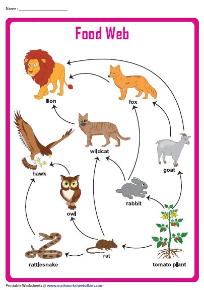 Maybe you would like to learn more about one of these? Food Web Chart | Food chain worksheet, Science food chains ...