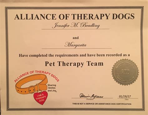 Therapy Dog Certification Ph