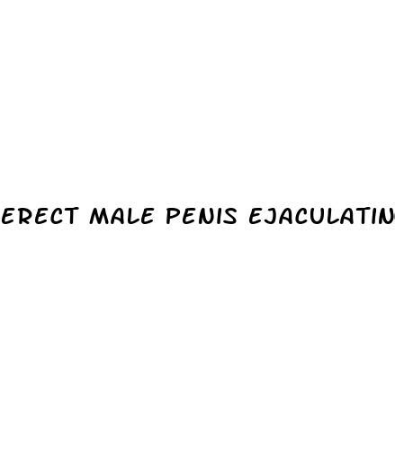 Erect Male Penis Ejaculating