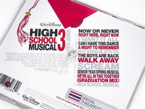 The High School Musical Cast High School Musical 3 Senior Year