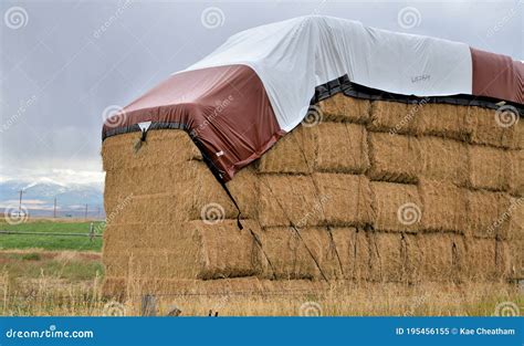 Square Bales Stacked And Tarped Stock Image Image Of Vastness Rural